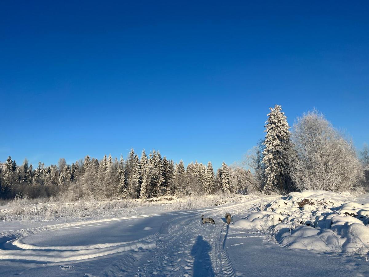 Pokoje U Danusi Czarna Góra Buitenkant foto