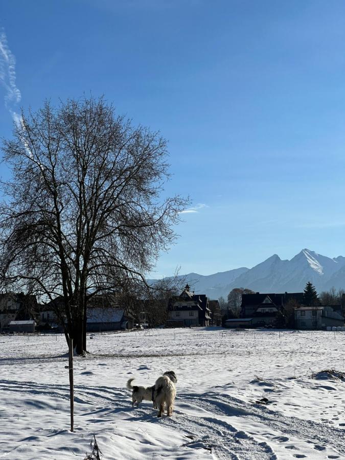 Pokoje U Danusi Czarna Góra Buitenkant foto